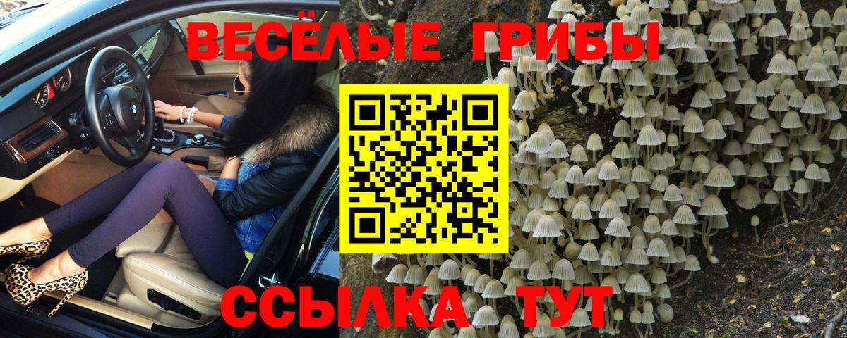 Галлюциногенные грибы прущие грибы Малгобек