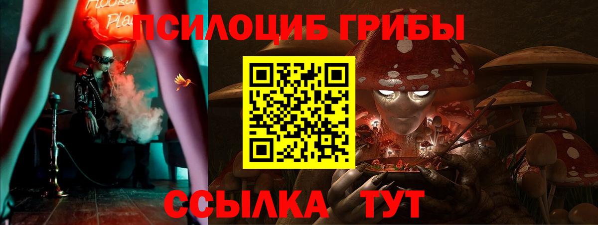 Галлюциногенные грибы Cubensis  Вход с VPN  Малгобек  Псилоцибиновые грибы GOLDEN TEACHER 